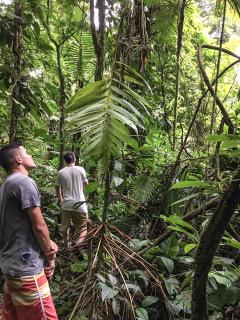 Los Gallitos Eco Lodge - 1