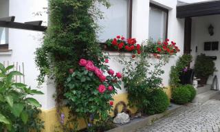 Ferienwohnung "Am Eisenbühl" - Berg - 7