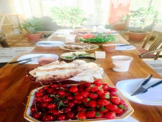 Family Mini-Hotel Martirosyan's and tours - Jerewan - 1