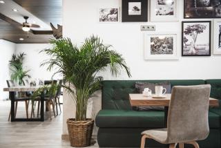 Aparthotel Vibra Mogambo - Adults only - Playa d'en Bossa - 2