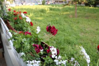 Central Varna Apartment - Lets4Holiday - Varna City - 1