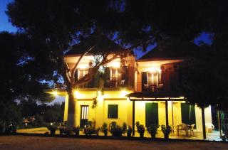 Synodinos Studios - 5