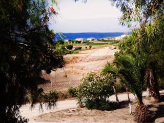 Synodinos Studios - 1