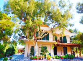 Synodinos Studios - 9