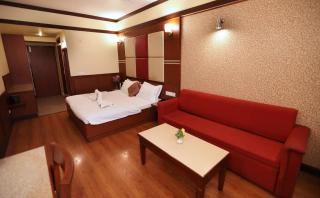 Hotel Vishnu Palace - Mussoorie - 4