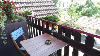 Pension Zur Sonne Wittenweier - 4