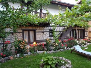 Trenchova Guest House - Bansko - 7
