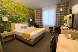 Adria Hotel and Conference Center - Queens - 7