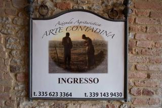 Agriturismo Arte Contadina - Fiorenzuola dʼArda - 8