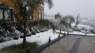Rahuen Hotel/Restaurant - 4