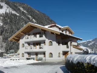 Villa Amsel - Mayrhofen - 8