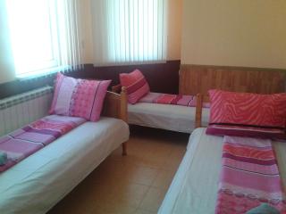 Osogovo Rooms - Sofia - 5