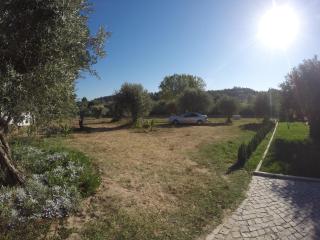Farmer Fraguas - Rio Maior - 4
