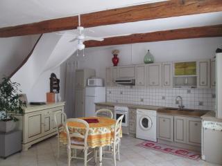 La Maison des Vendangeurs à Puisserguier - Puisserguier - 2