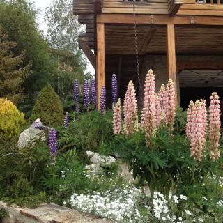 Chalet Rouge Sorbier - Font-Romeu - 3
