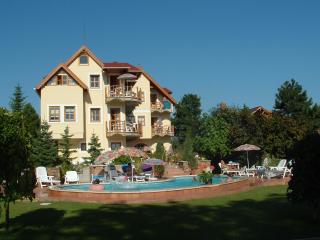 Castle house - Balatonfüred - 9
