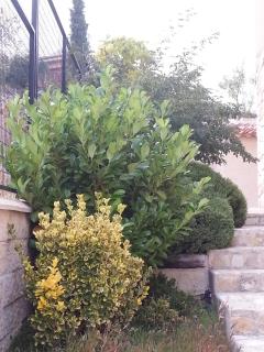 La Tejada del Valle - 5