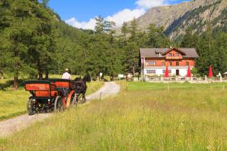 Gasthaus Spinas - Bever - 8