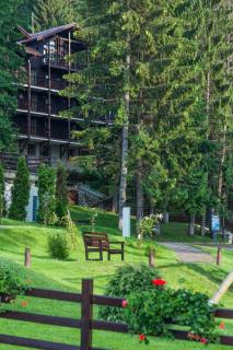 Ana Hotels Bradul Poiana Brasov - Poiana Brasov - 7