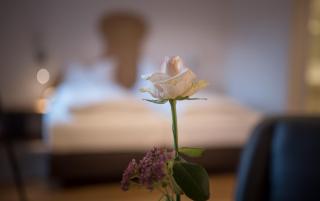 Brennereihotel Sponsel - Kirchehrenbach - 7