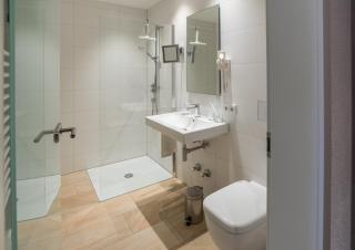 Brennereihotel Sponsel - Kirchehrenbach - 5