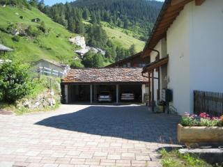 Dachwohnung Unterem Hoereli - Vals - 8