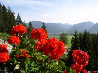 Hotel Talhof Garni&more in Wängle bei Reutte - Reutte - 2