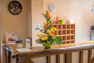 Logis Auberge De La Plaine - La Rothière - 1