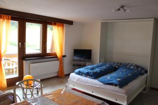 Ferienwohnung Silberdistel, Saastalstrasse 178 - Saas-Grund - 1