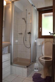 Ferienwohnung Silberdistel, Saastalstrasse 178 - Saas-Grund - 2