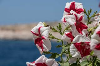 Apartment Lorena - 3