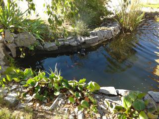 Fontána - Prague - 2