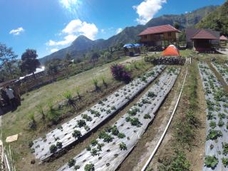 Bale Sembahulun Cottages & Tend - Sembalun Lawang - 7