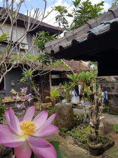 Mawar Homestay Canggu - Canggu - 5