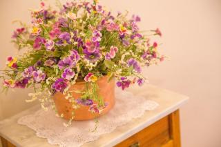 Hotel Villa Trieste - San Vito di Cadore - 6