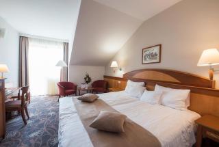 Vitalmed Hotel Sárvár - Sárvár - 6
