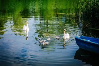 Apartamenty Pod Zamkową Górą - 1