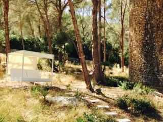 AGUAIT - Villa approximately aprox 4O OOO meters PLUS PRIVATE mountain approx 3 minutes walking from the beach Ideal for relaxation sport - 2