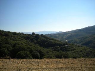 Agriturismo Il Melo - Valfabbrica - 6
