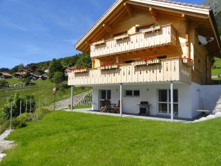 Chalet Canadian Corner - Wengen - 0