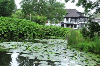 Akzent Hotel Zur Wasserburg - Hotel Garni bed & breakfast - Harpstedt - 3