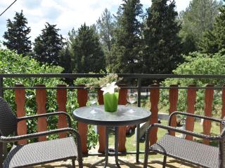 Apartment in Knin with garden - Knin - 6