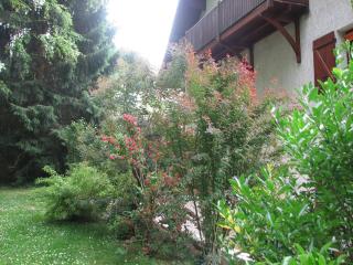 Le Pas de L'Ane Chambres d'hôtes - 3