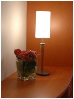 Hotel South Charleroi Airport - Charleroi - 8