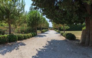 La Louvière des Bruyères - Robion en Luberon - 3