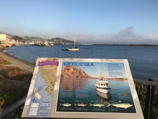 Morro Shores Inn And Suites - Morro Bay - 6
