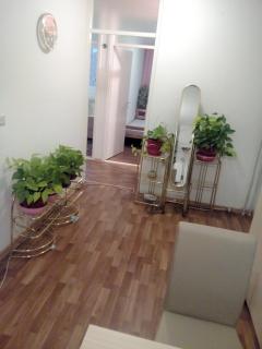 Apartment Alipašino - Sarajevo - 3