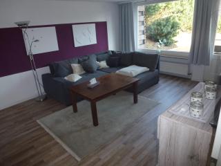 Moderne, ruhige Ferienwohnung in Braunlage Harz inkl WLAN & Netflix - Braunlage - 5