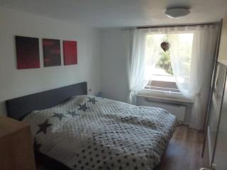 Moderne, ruhige Ferienwohnung in Braunlage Harz inkl WLAN & Netflix - 3