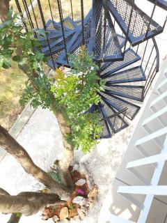 Apartments Merion - Starigrad-Paklenica - 4